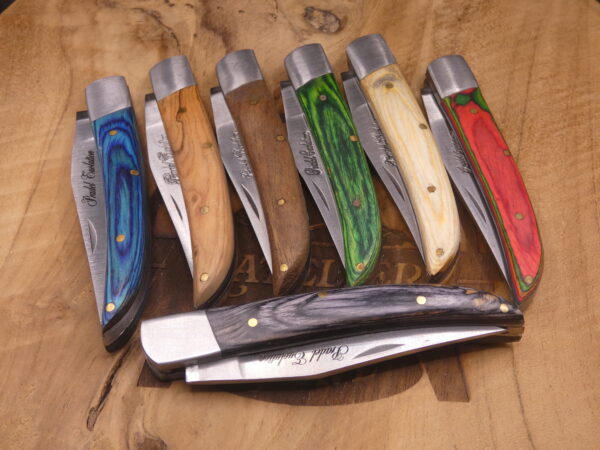 Couteau Pradel Evolution bois 10 cm